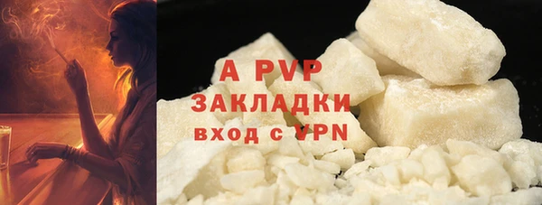 PSILOCYBIN Козельск